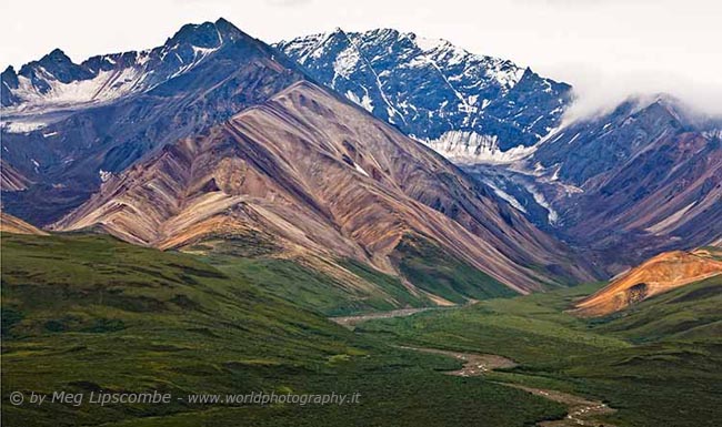 Denali National Park